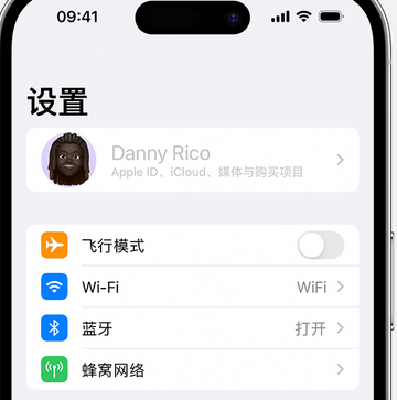 龙口appleID维修服务iPhone设置中Apple ID显示为灰色无法使用