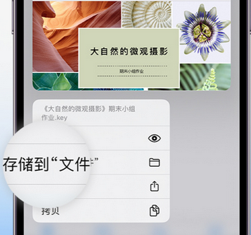 龙口apple维修中心分享iPhone文件应用中存储和找到下载文件