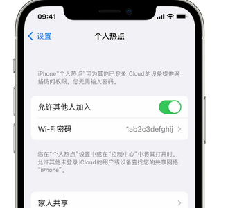 龙口apple服务站点分享iPhone上个人热点丢失了怎么办 