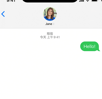 龙口apple维修iPhone上无法正常发送iMessage信息