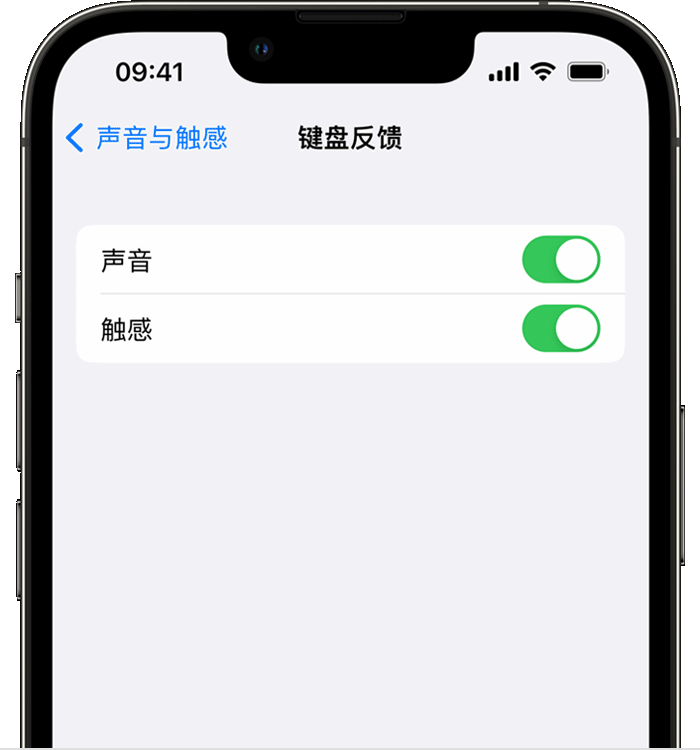 龙口苹果14维修店分享如何在 iPhone 14 机型中使用触感键盘 