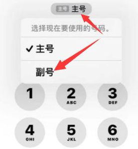 龙口苹果14维修店分享iPhone 14 Pro Max使用副卡打电话的方法 