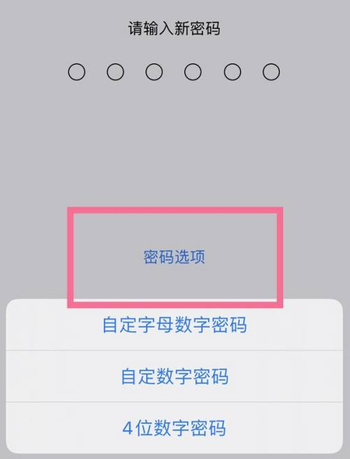 龙口苹果14维修分享iPhone 14plus设置密码的方法 