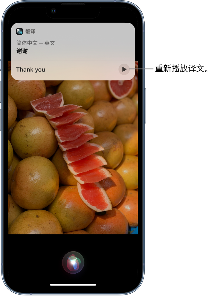 龙口苹果14维修分享 iPhone 14 机型中使用 Siri：了解 Siri 能帮你做什么 