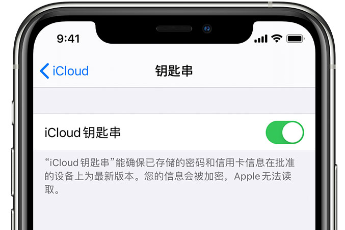 龙口苹果手机维修分享在 iPhone 上开启 iCloud 钥匙串之后会储存哪些信息 