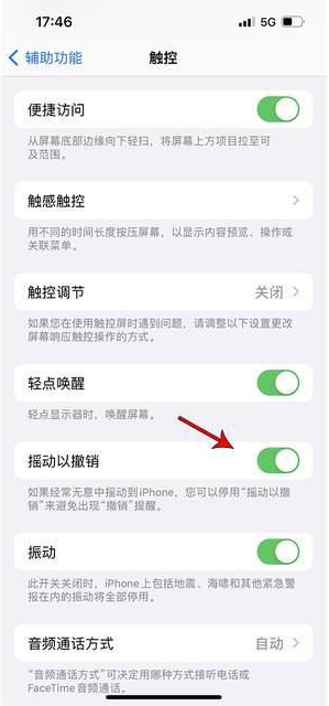 龙口苹果手机维修分享iPhone手机如何设置摇一摇删除文字 