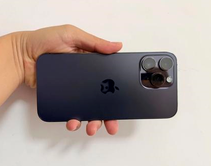 龙口苹果维修点分享iPhone 14 Pro Max发烫多重诱因剖析 